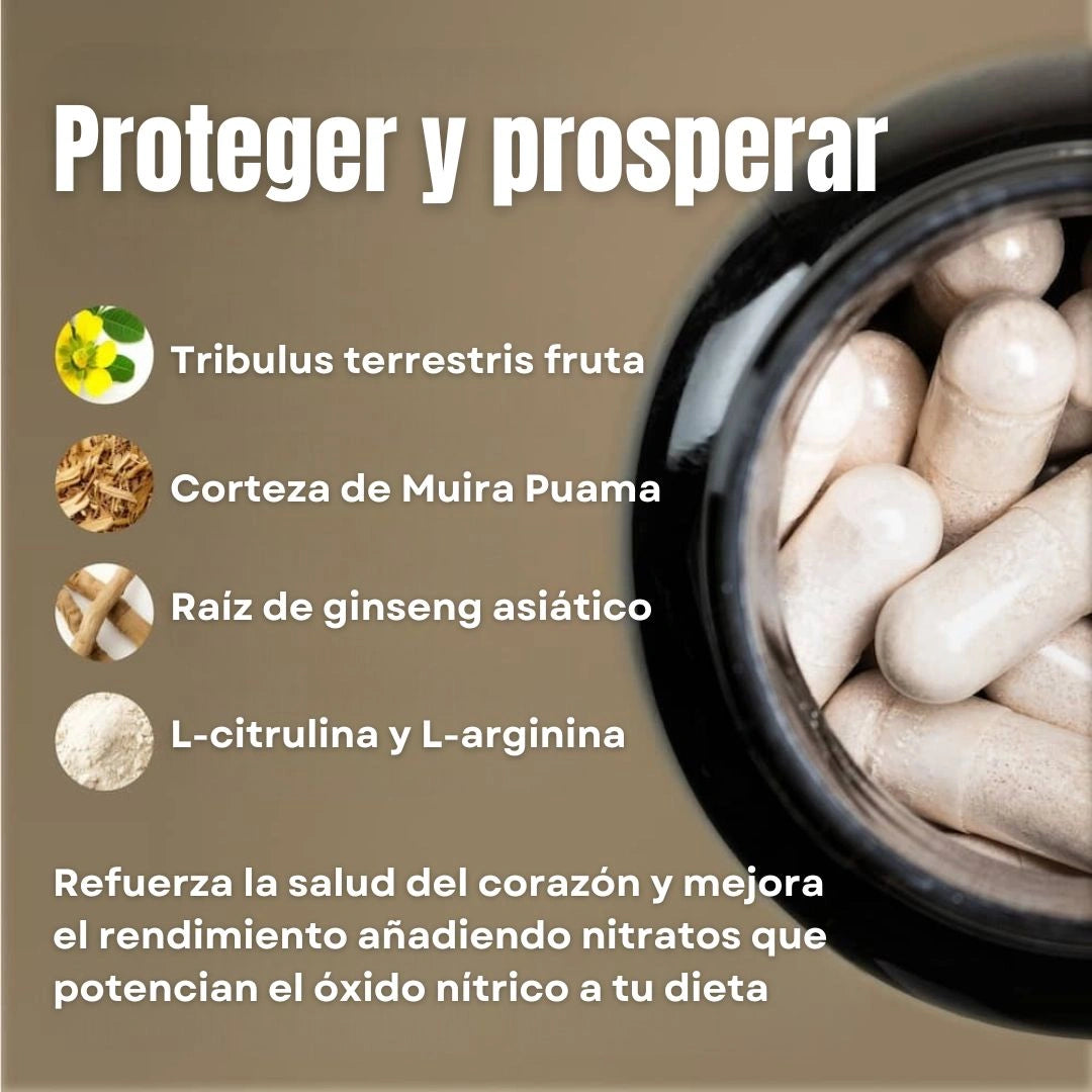Nitric Oxide Booster - SUPLEMENTO