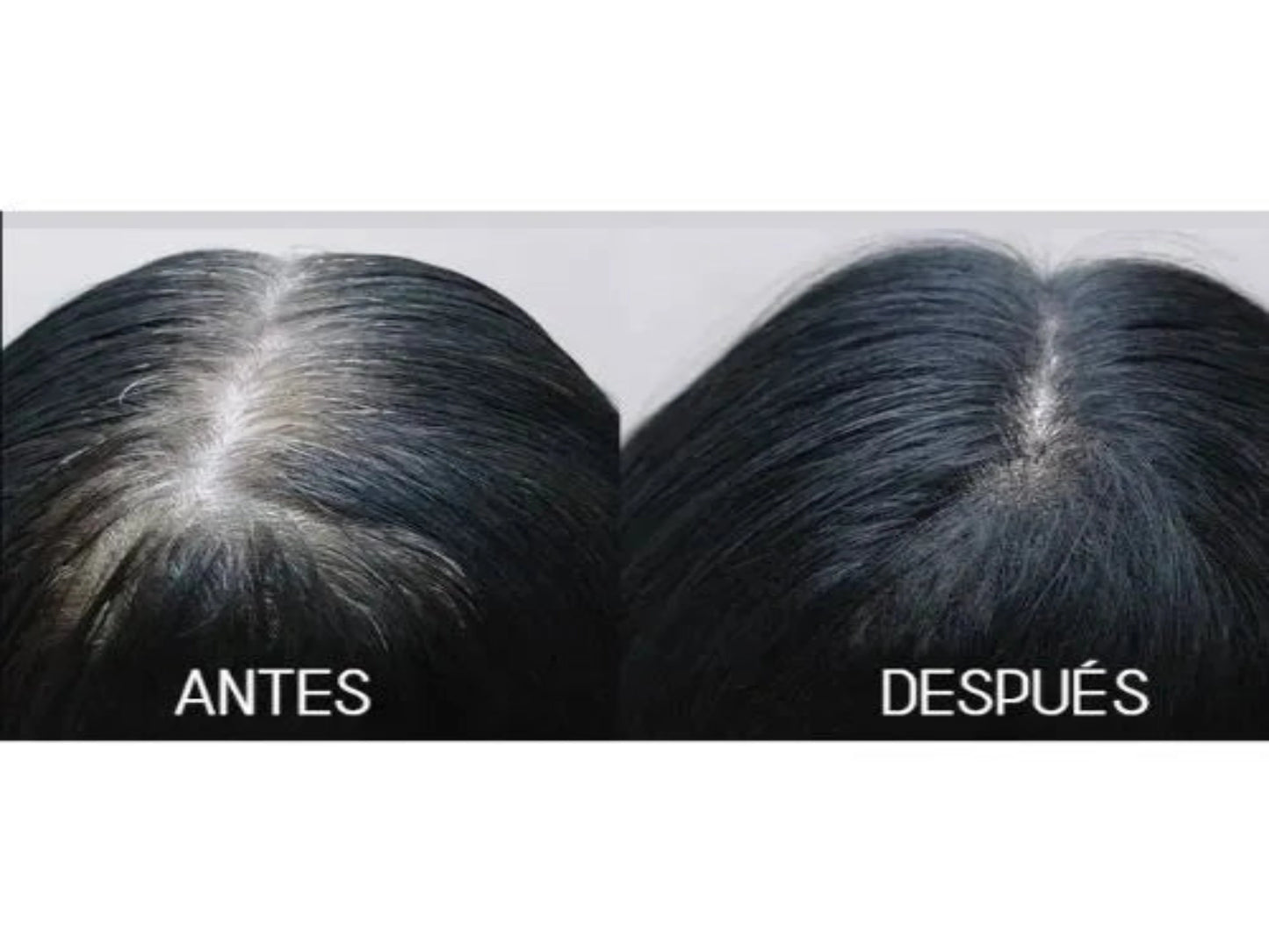 PIGMENTINA - MASCARILLA PARA CABELLO