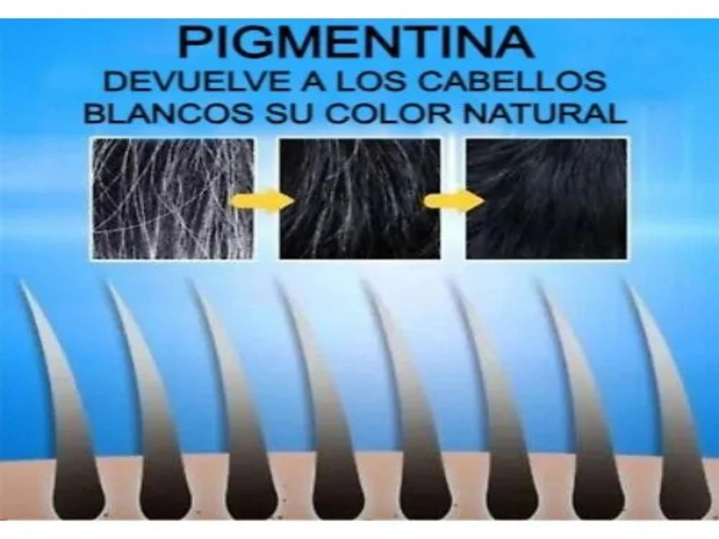 PIGMENTINA - MASCARILLA PARA CABELLO