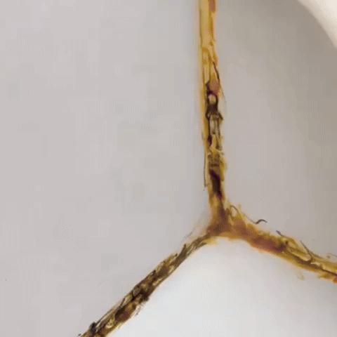 Máquina de limpieza portátil a vapor