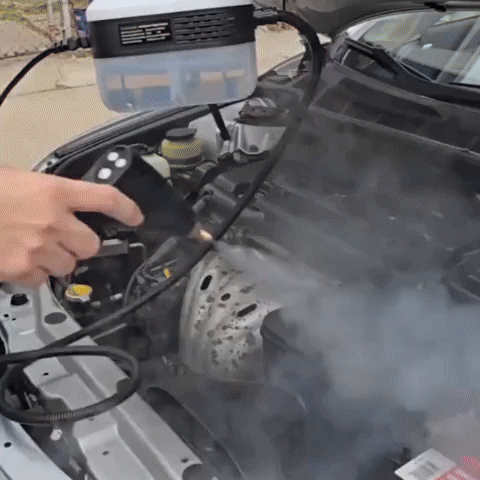 Máquina de limpieza portátil a vapor