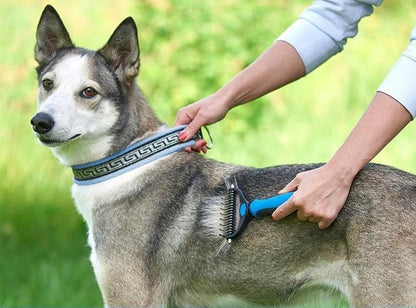 CEPILLO DE ASEO PARA MASCOTAS