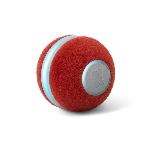 PELOTA PARA GATOS