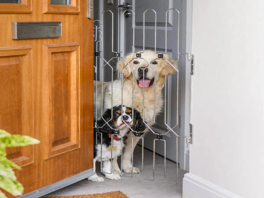 PUERTA PLEGABLE PARA PERROS
