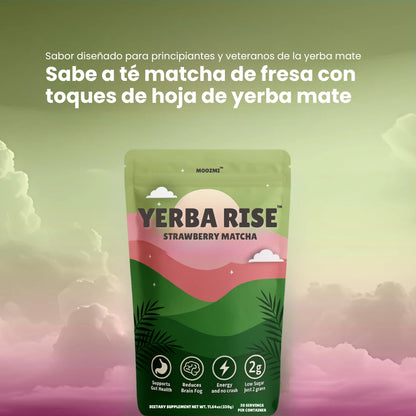 YERBA MATE TEA POWDER (500g)